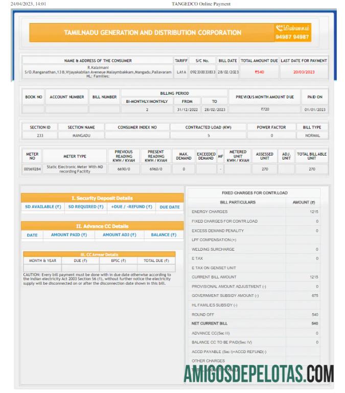 realista ÍNDIA TAMILNADU Modelo de Word e PDF para conta de serviços públicos